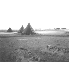 Tent lines and distant Blenheims