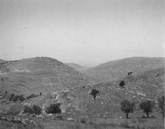 Palestine 12